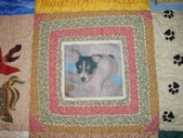 Enlarge photo 52