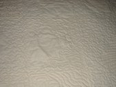 Enlarge photo 98