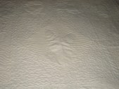 Enlarge photo 99