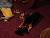 Enlarge photo 24