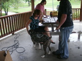 Enlarge photo 25