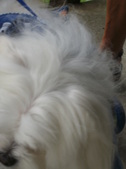 Enlarge photo 33