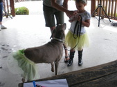 Enlarge photo 40