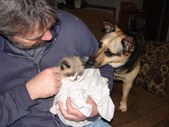 Enlarge photo 4