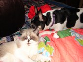 Enlarge photo 22