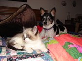 Enlarge photo 26