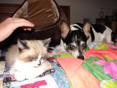 Enlarge photo 28