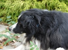 Enlarge photo 12