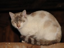 Enlarge photo 15