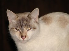 Enlarge photo 16