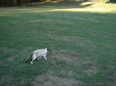 Enlarge photo 17