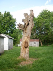 Enlarge photo 2