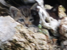 Enlarge photo 17