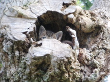 Enlarge photo 18