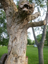 Enlarge photo 19