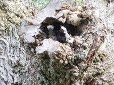 Enlarge photo 20