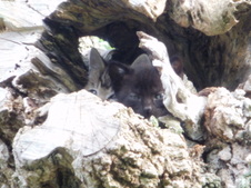 Enlarge photo 21