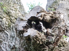 Enlarge photo 22