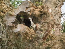 Enlarge photo 23