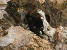 Enlarge photo 24