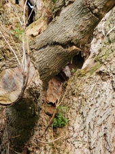 Enlarge photo 28