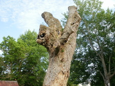 Enlarge photo 29