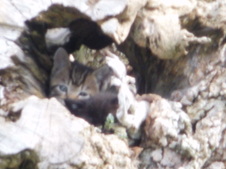 Enlarge photo 31