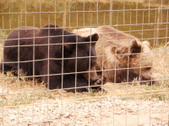 Enlarge photo 26