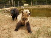 Enlarge photo 27