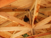 Enlarge photo 34