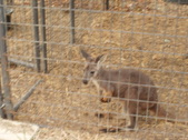 Enlarge photo 36