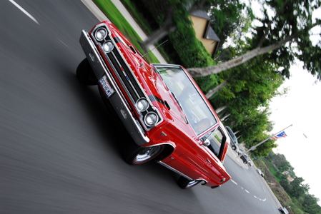Enlarge photo 169