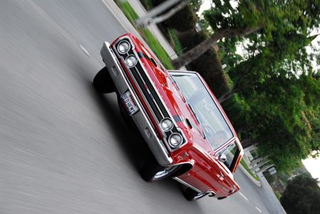 Enlarge photo 171