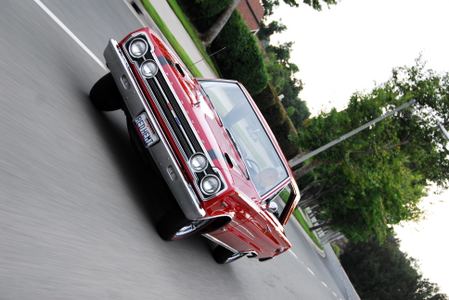 Enlarge photo 172