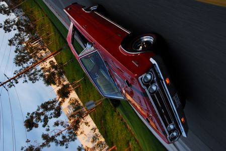 Enlarge photo 426