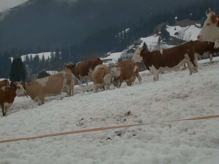 2002 Jeep Grand Cherokee Germany Trip