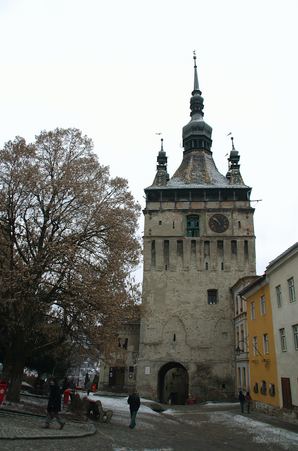 Enlarge photo 49