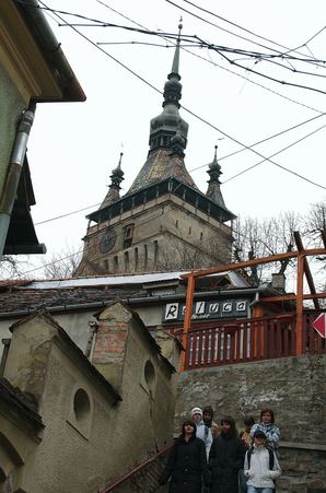 Enlarge photo 54