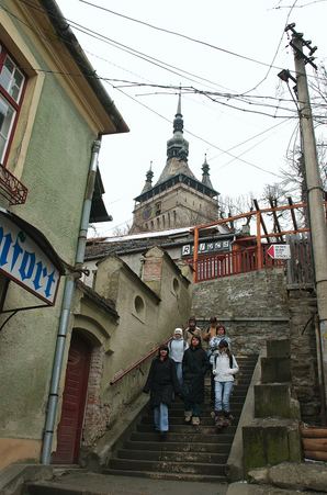 Enlarge photo 55