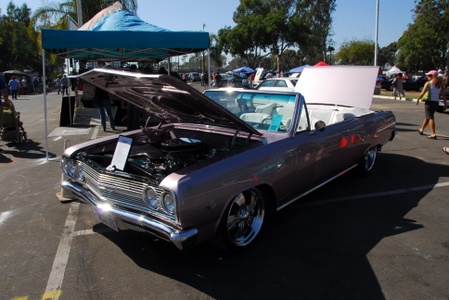 2008 Cruising for the Cure