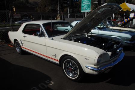 2008 Orange County Mustang Show