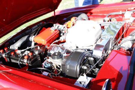 Enlarge photo 166