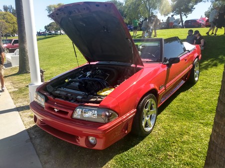 2019 Ponies on the Pike all images