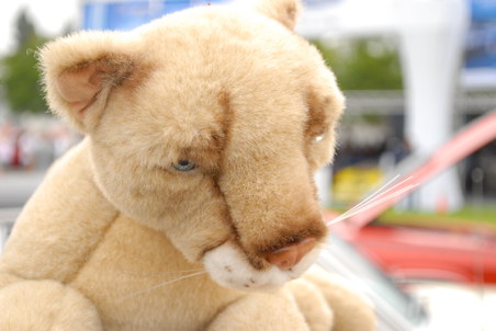 Car Shows and Concours