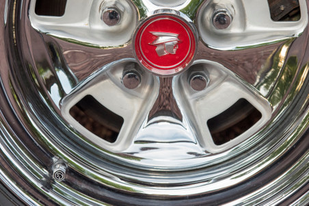 Dick Bott Cougar Photos