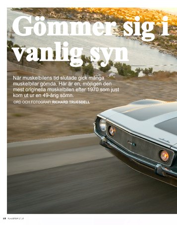 Hiding in Plain Sight 8-page PDFs