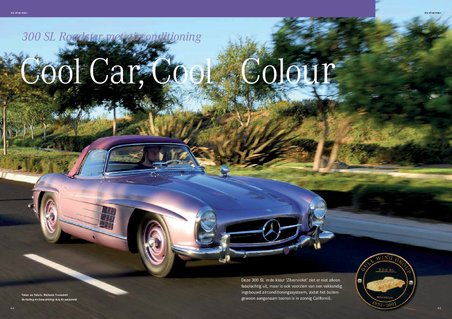 Mercedes Benz Features in English + Dutc