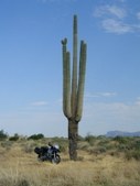 Enlarge photo 17
