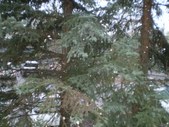 Enlarge photo 19