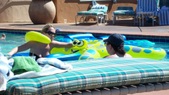 Enlarge photo 19
